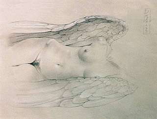 Nude Angel Drawing